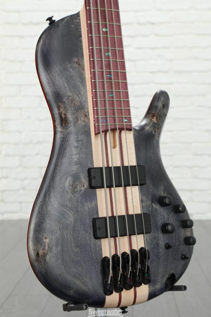 Ibanez SRSC805 Cerro Single Cut Bass Guitar Review • Edel Alon