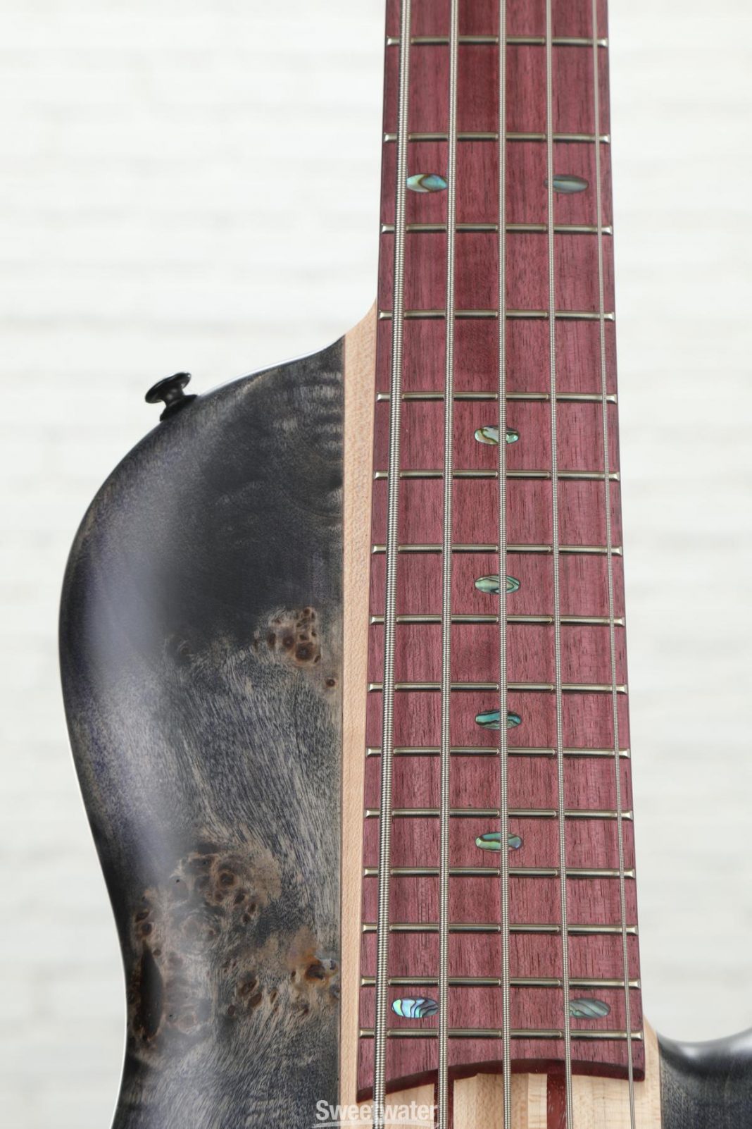 Ibanez SRSC805 Cerro Single Cut Bass Guitar Review • Edel Alon