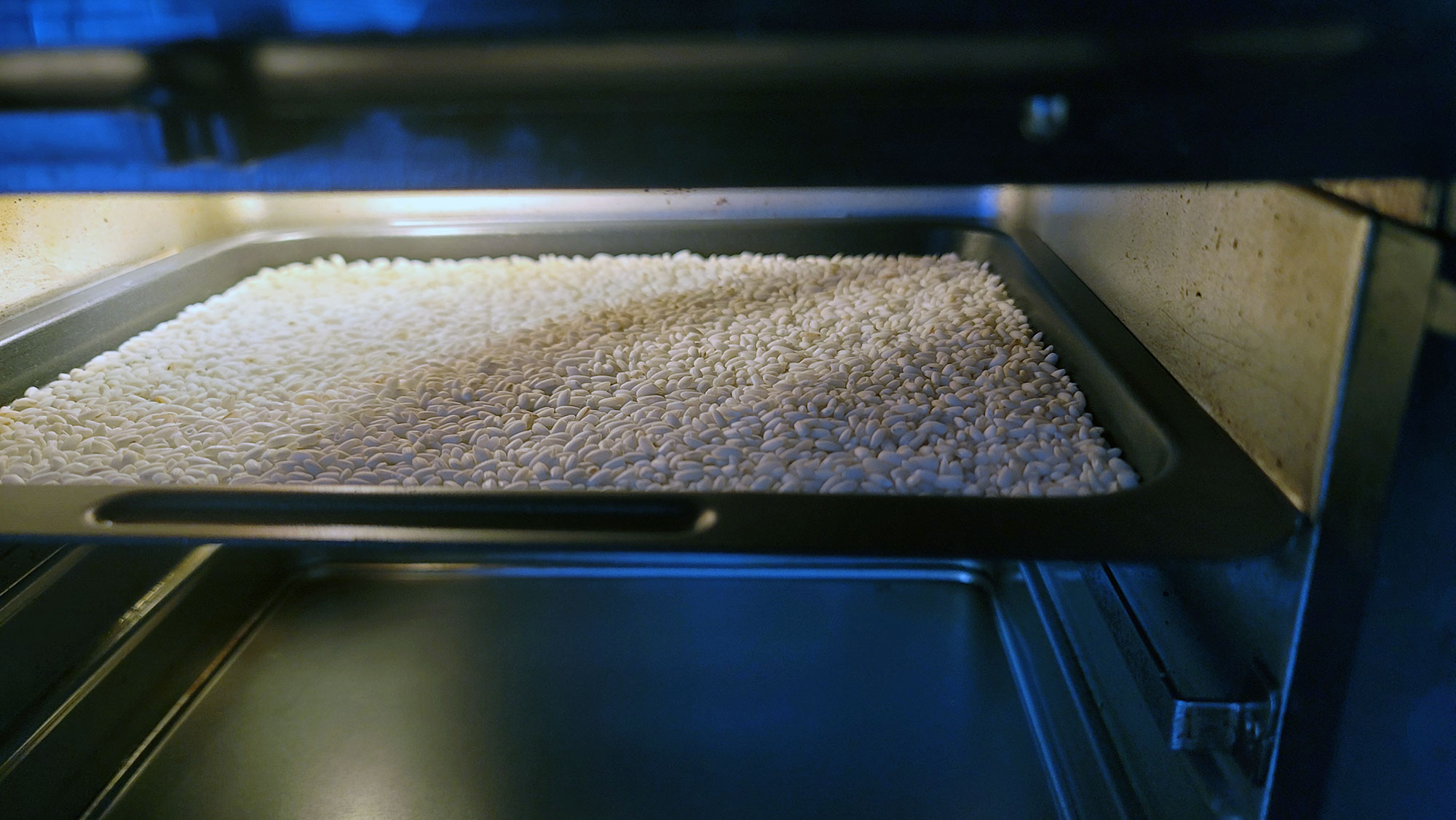 toast_rice • Edel Alon