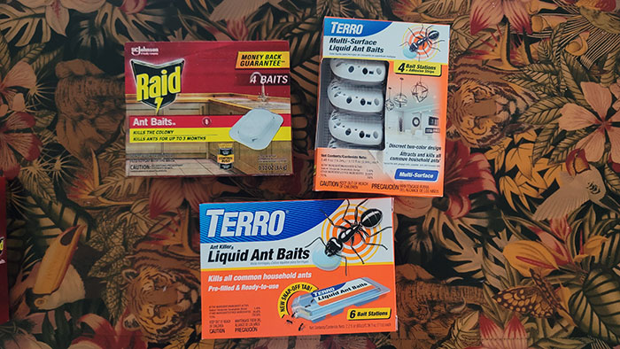 Comparing Raid and Terro Ant Traps – Which is the Best Option? • Edel Alon