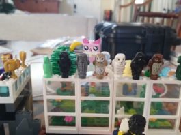 The Joy of Playing with LEGO