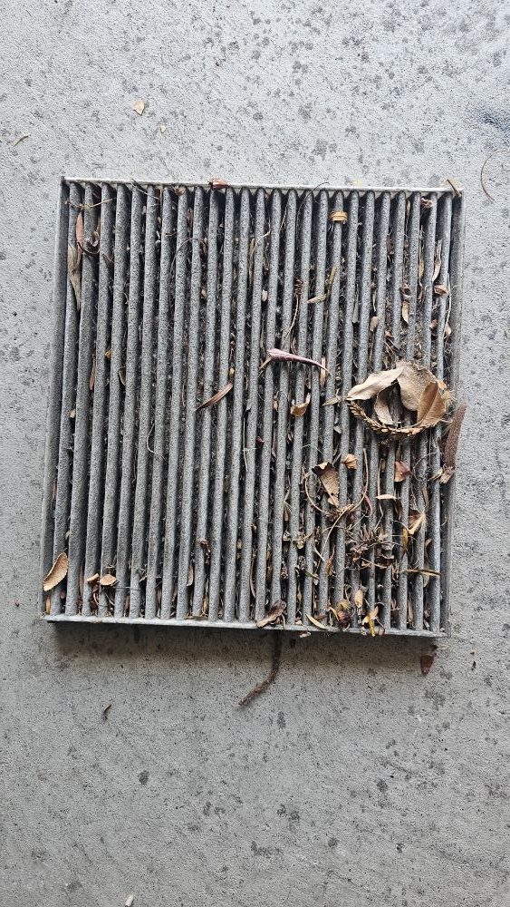 Why Changing Your Vehicle Cabin Filter is Important • Edel Alon