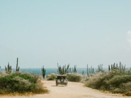 An off-road vehicle drives through a remote area surrounded by cacti and brush toward a body of water in the distance.