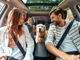 A family sitting in a car. The parents are in the front seat, and the dog and a young girl are in the back seat.