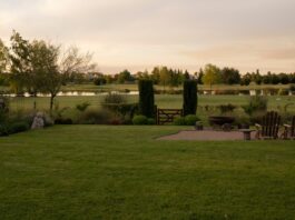 A serene backyard at sunset, featuring lush plants, a small sitting area with two wooden lounge chairs, and a pond in the background.