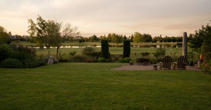A serene backyard at sunset, featuring lush plants, a small sitting area with two wooden lounge chairs, and a pond in the background.