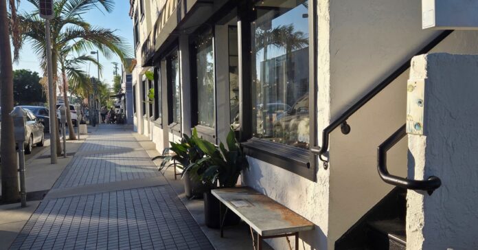 Bright street scene with palm-lined sidewalk, shop windows, outdoor bench, and building entrance with stairs.