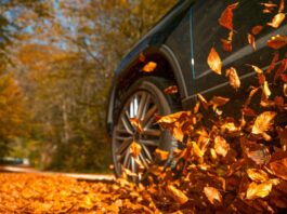 A vehicle driving over a pile of fallen leaves, sending them up into the air. There are more leaves still on the ground.