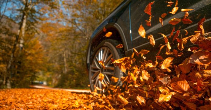 A vehicle driving over a pile of fallen leaves, sending them up into the air. There are more leaves still on the ground.