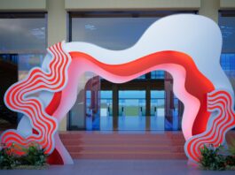 Reasons To Buy Portable Backdrop Systems for Events A large colorful backdrop for an event in a large commercial space. Potted plants surround the display.